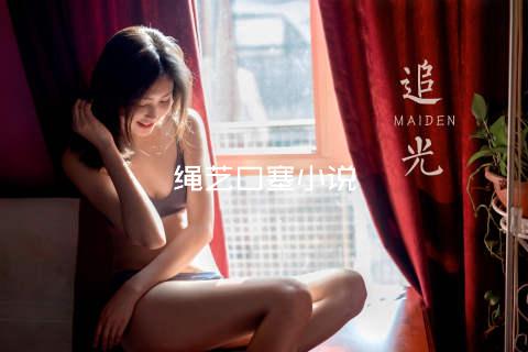 绳艺口塞小说